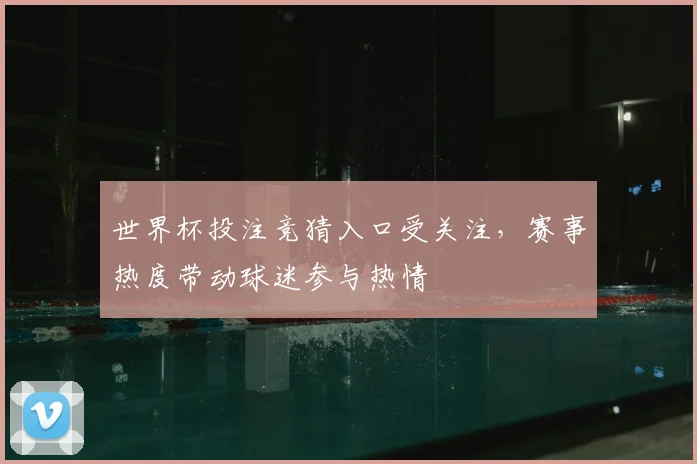 世界杯投注竞猜入口受关注，赛事热度带动球迷参与热情