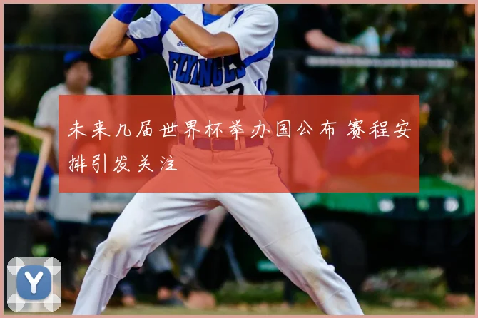 未来几届世界杯举办国公布 赛程安排引发关注