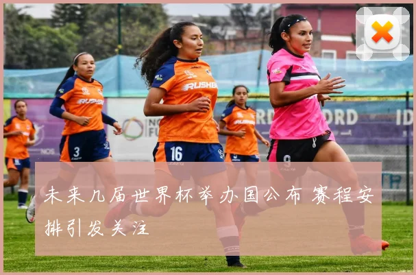 未来几届世界杯举办国公布 赛程安排引发关注